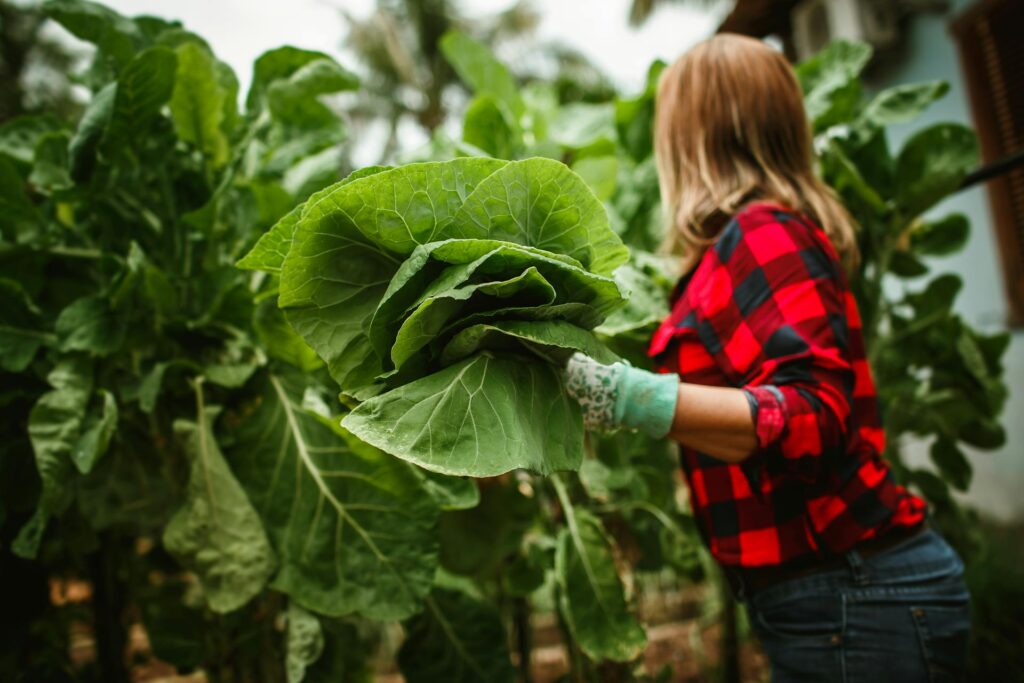 Tecnologia Sustentável: inovações para um futuro mais verde 2 agricultura sustentavel