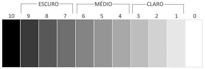Contraste pessoal: descubra quais os melhores tons para sua imagem 1 df3906e127ac221221a12c6ed5dd834e