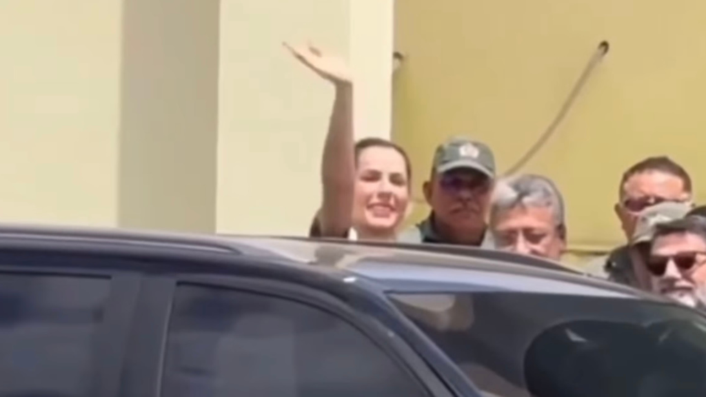 Deolane Bezerra solta: entenda o caso