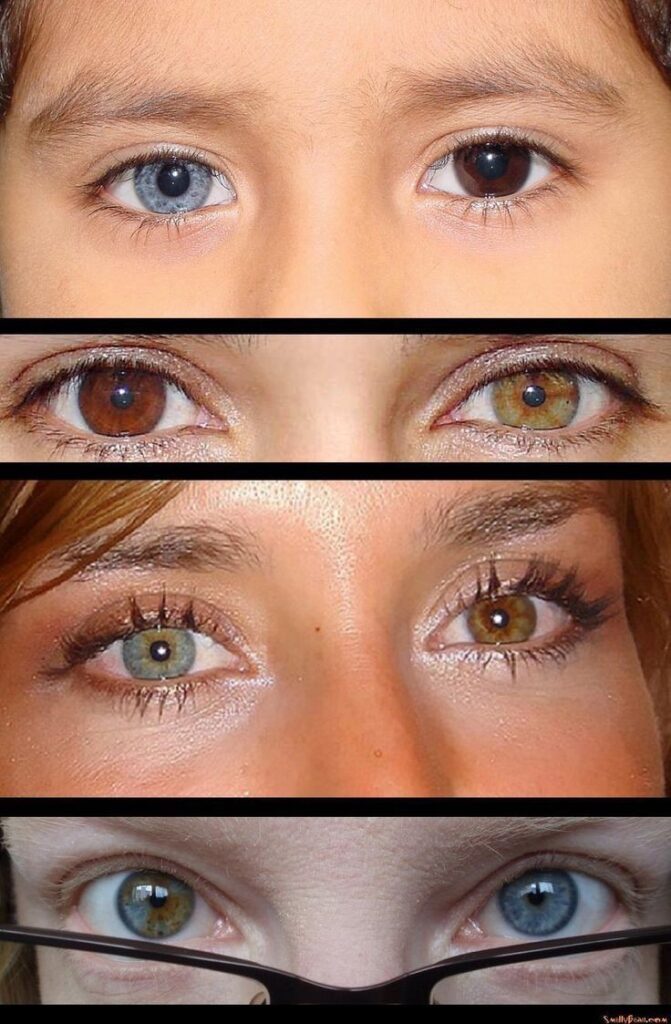 Colorimetria e Maquiagem: para valorizar cada cor de olhos 2 c2a88e130dffcb4737af836a8ed0804b