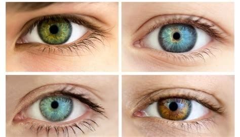 Colorimetria e Maquiagem: para valorizar cada cor de olhos 1 f53ba969af408cbbe3d8a53bba935a5e