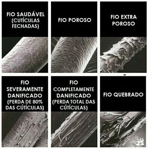 Cabelos porosos: causas, características e dicas de cuidados 3 f5bcc08db2227984280757b09835a490