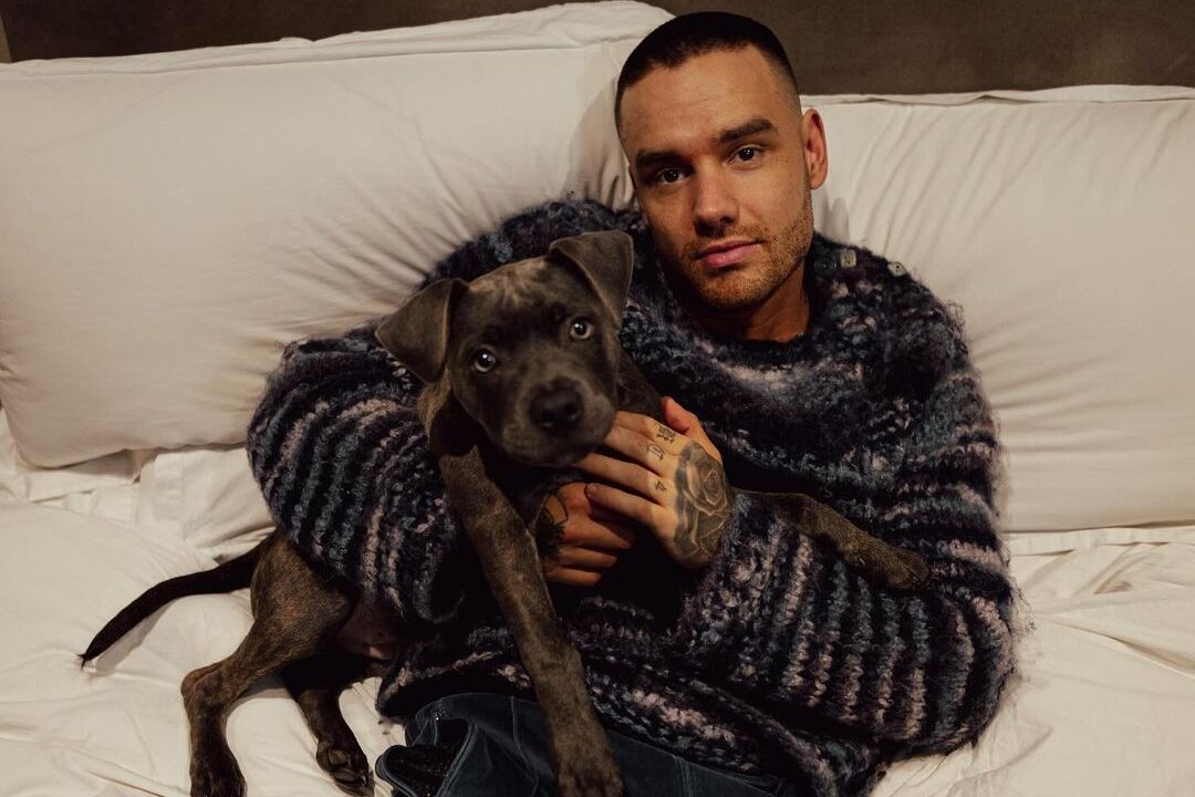 Liam Payne, ex-One Direction encontrado morto na Argentina, teve primeira aparição no reality britânico "The X Factor" 1 Liam Payne