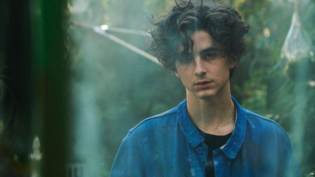 O ator Timothée Chalamet ouviu que não faria sucesso em Hollywood por conta de seu corpo 1 Timothée Chalamet
