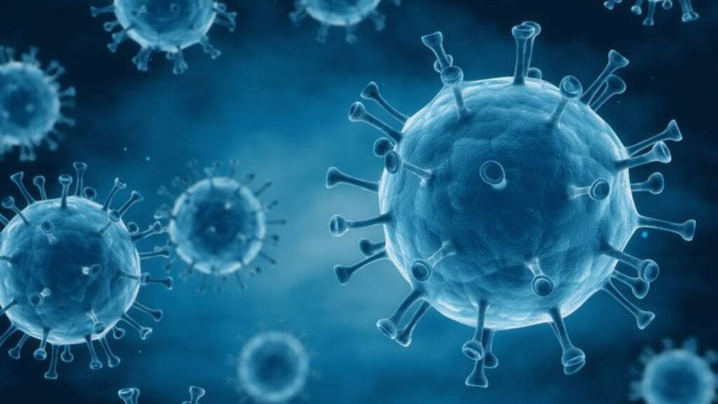Aumento de casos de metapneumovírus humano - HMPV na China preocupa autoridades 1 Virus