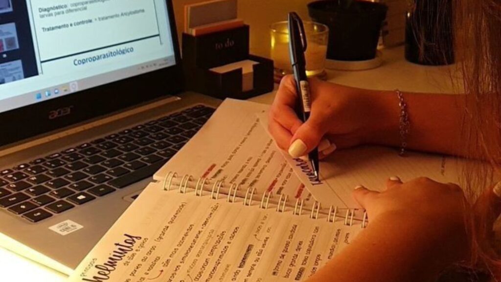 O desafio dos concursos públicos: como se preparar para conquistar uma vaga 1 concursos