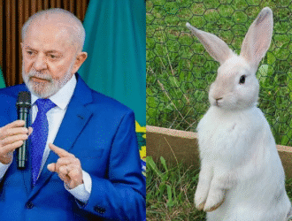 Brasil proíbe testes em animais na indústria de cosméticos