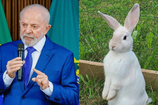 Brasil proíbe testes em animais na indústria de cosméticos